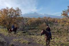 etna-sunset-horseback-riding-3