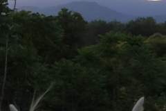 etna-sunset-horseback-riding-4